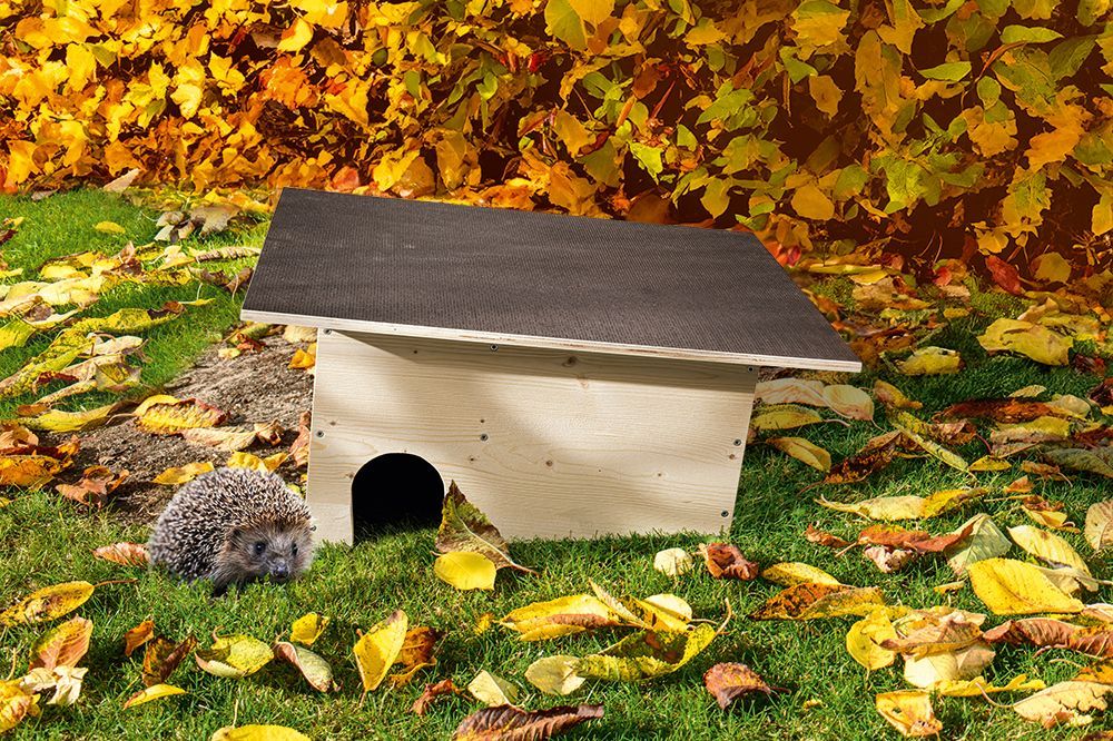 Igelhaus im Herbstlaub